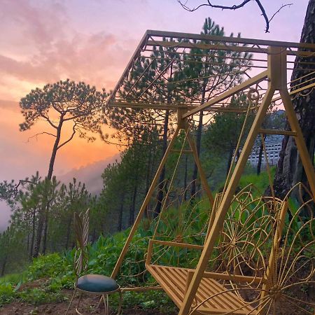 The Westberry 50Mtrs Offroading And 50 Mtrs Nature Path Bed & Breakfast Shimla Bagian luar foto